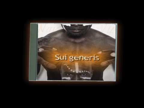 The making of Sui generis