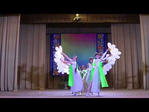 Você Mulher Apresentação