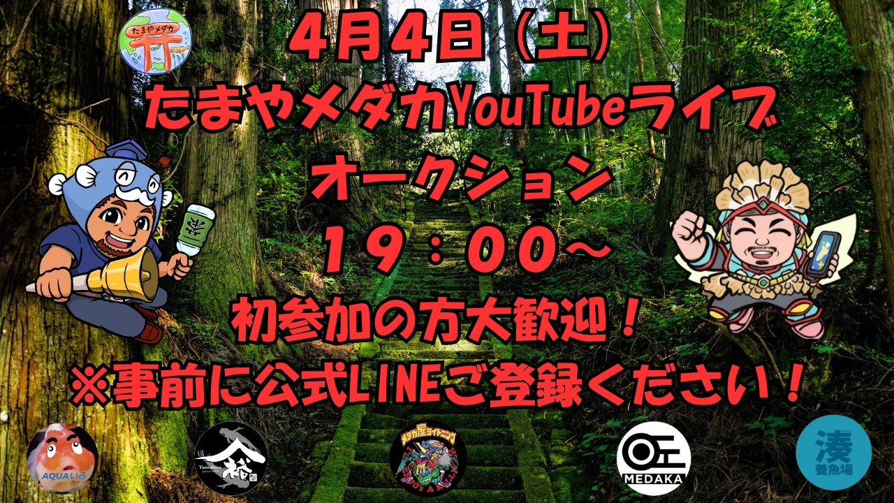 4月４日（土）ライブオークション