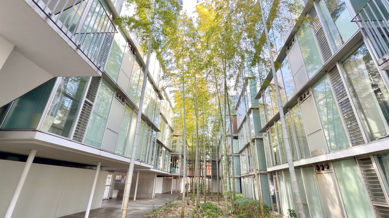 Micro Apartment in Tokyo with a Beautiful Courtyard 🥰🌿  – 32.8 sqm / 353 sqft (Ep.113)