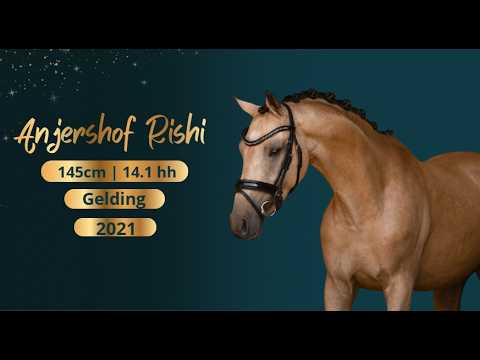 Anjershof Rishi video 2