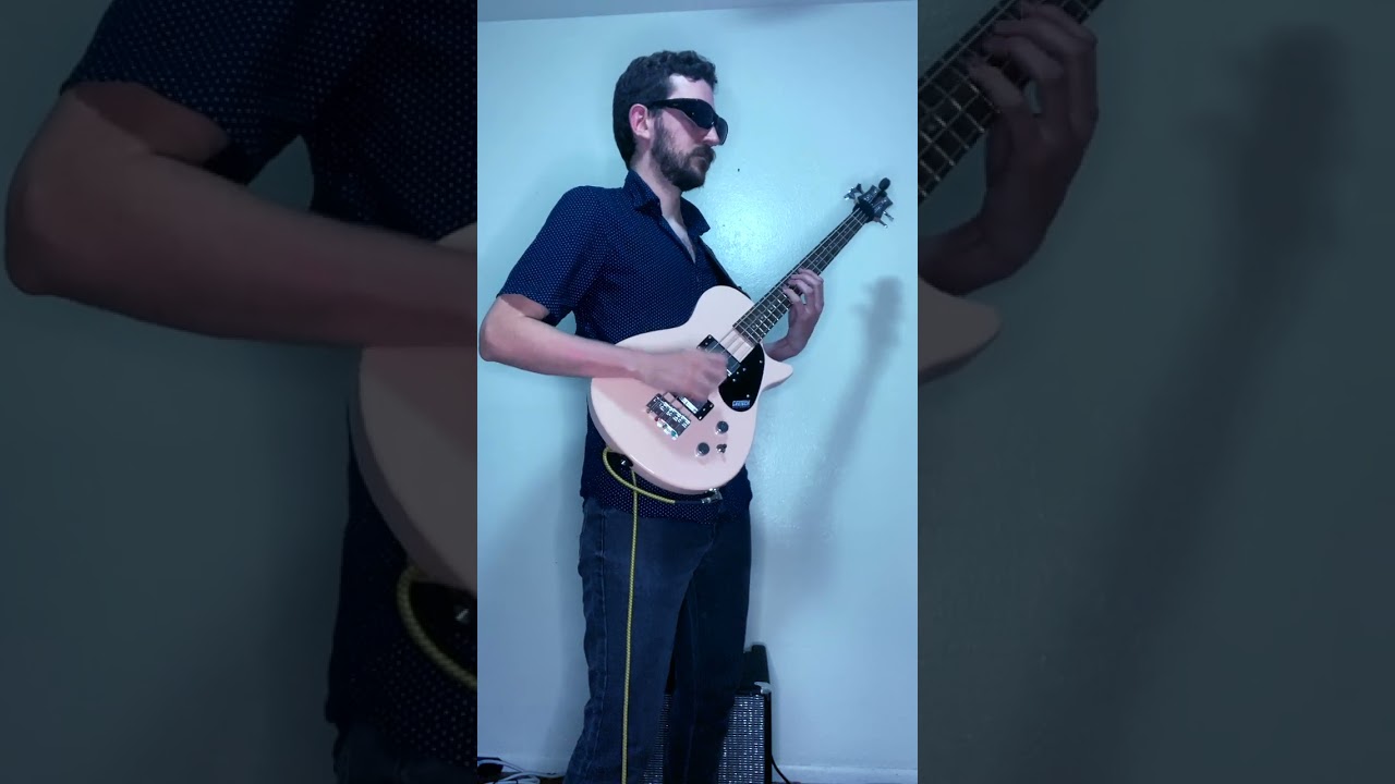 Promotional video thumbnail 1 for Sam the Bass Man