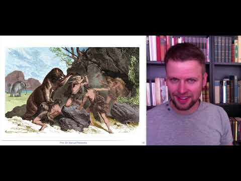 Neurobiologische Grundlagen 4 - Nervensystem und endokrines System