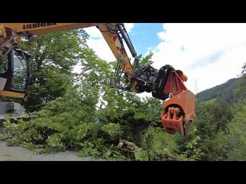 Axer 800LHD Treeshear on Liebherr