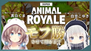 白音こゆきちゃんとモフ勝させて頂きます【SUPER ANIMAL ROYALE】