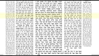 דף היומי מנחות דף קג