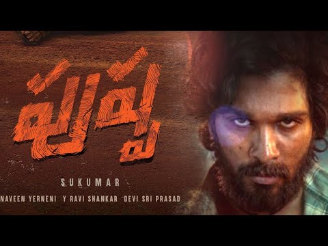 Veerendra Sainath portfolio video5