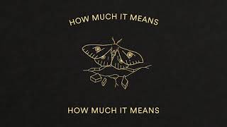 David Gray - Gold In A Brass Age (Lyric Video)