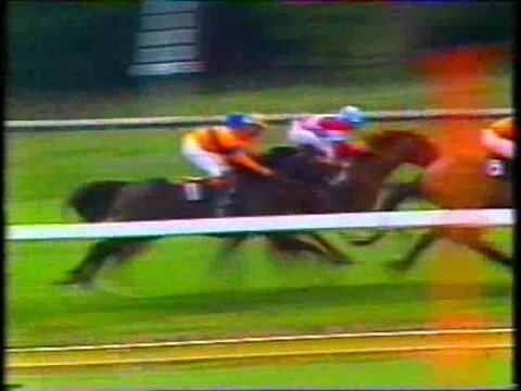 La Mer (NZ) 1979 Air New Zealand Stakes