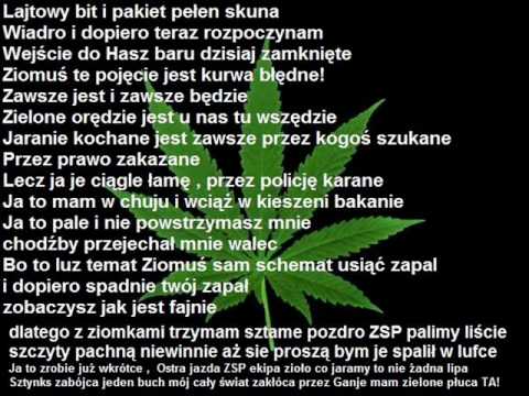 ZSP - ZIELONE PŁUCA POLSKI + TEKST