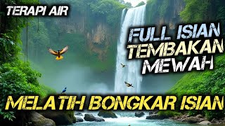 Download lagu TERAPI AIR UNTUK SEMUA JENIS BURUNG , TERAPI SEMUA JENIS BURUNG AGAR GACOR , MASTERAN TEMBAKAN MEWAH mp3