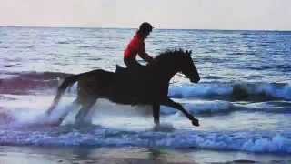 Look at me now [40,000]