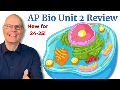 Everything you need to Crush AP Bio Unit 2: Cell Structure and Function
