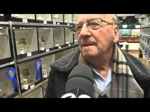 Flabber TV - Buitenbeeld bij de Vogelshow