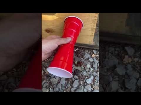 Beehive Dialect Heard Through Telephone Device || ViralHog