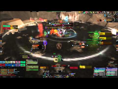 ToV Black vs Heroic Fallen Protectors (BM Hunter POV)