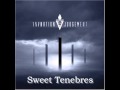 VNV Nation - The Farthest Star
