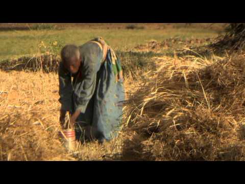 Hope in a Changing Climate - 5 minute version