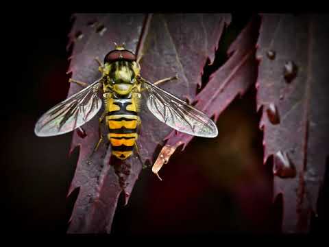 You Ain't Going Nowhere