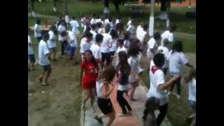 preview picture of video 'AGLT - Muncel 2013 - Tabără Națională - Dansul taberei'