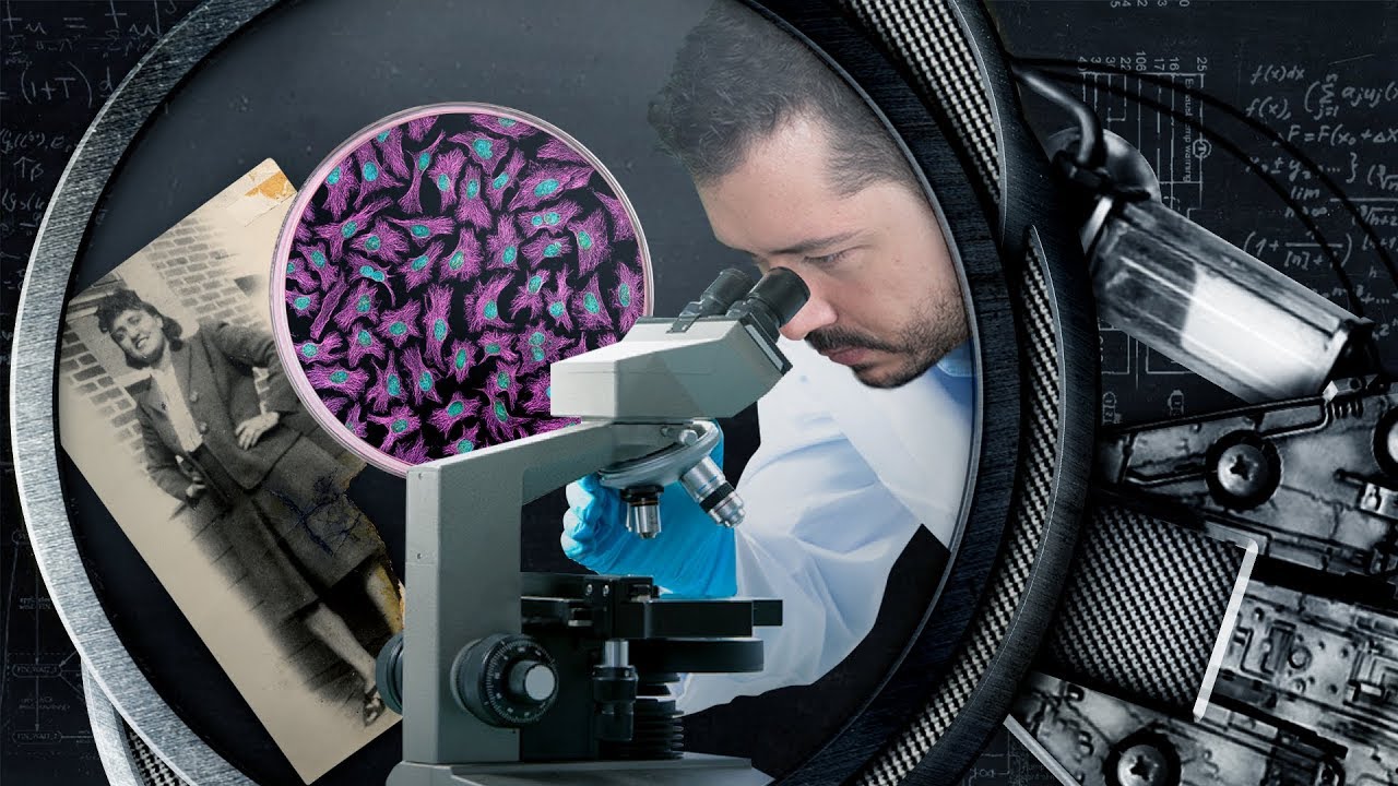 A mulher que mudou a medicina, Henrietta Lacks | Nerdologia