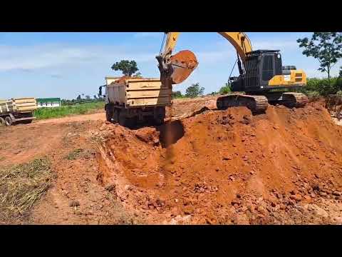 Meu dia a dia por aqui é desse modelo Colniza Mato grosso 