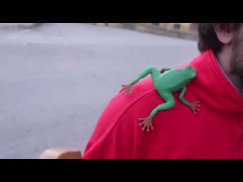 FRIUILLI = Pop X + Calcutta - Il silenzio degli innocenti