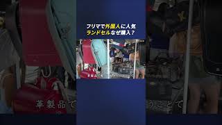 週末の大井競馬場に集まる外国人…なぜ？　目当ては「お宝」とここだけの体験