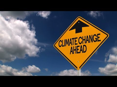 Foundation Digital Media video.