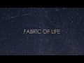 Czarny HIFI - Fabric of life (instrumental) 