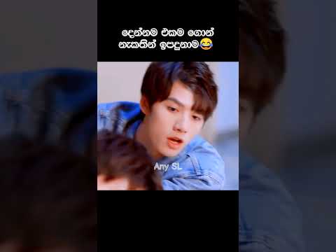 දෙන්නම එකම ගොන් නැකතින් ඉපදුනාම 😂 #anysl #kdrama #funny