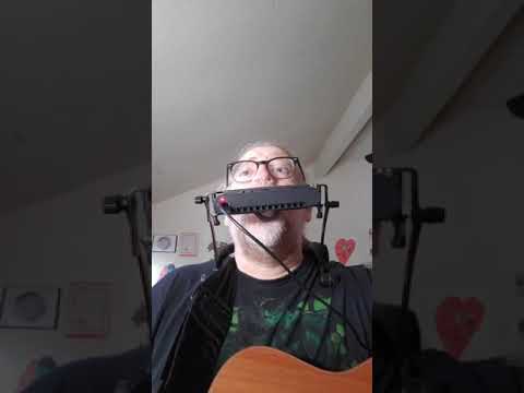 Meet My Lekholm DM48X