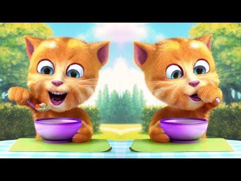 download lagu mp3 mp4 Gato Amarelo, download lagu Gato Amarelo gratis, unduh video klip Gato Amarelo