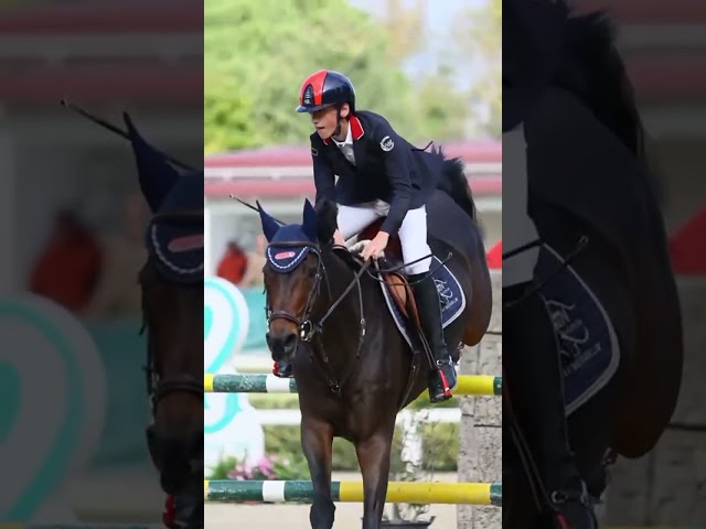 Jument Holsteiner A vendre 2011 Bai