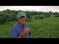 Greg discusses steps from dead farm to thriving pastures!