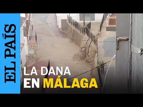 DANA MÁLAGA | Fuertes lluvias en Los Romanes a causa del temporal | EL PAÍS