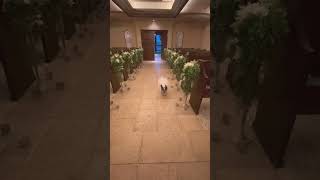 【フレブル】リングドッグの練習🐾 #vlog #フレンチブルドッグ #frenchie #shorts #練習  　　　　"Ring Dog Practice"