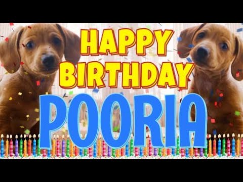 Happy Birthday Pooria! ( Funny Talking Dogs ) What Is Free On My Birthday
