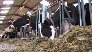 Groupe EUREA Agro-Distribution