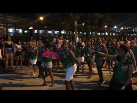 Mangueira 2020: ala a ala o canto da comunidade