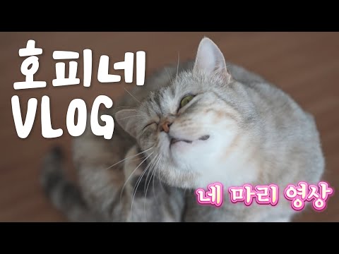 엄마와 딸, 아들들.