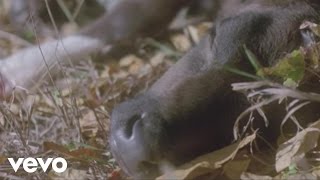 Kan Wakan - Midnight Moon (Official Video)