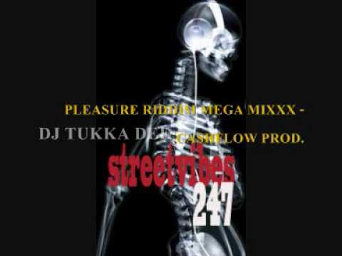 PLEASURE RIDDIM MEGA MIXXX - CASHFLOW PROD. DJ TUKKA DEE JULY 2010