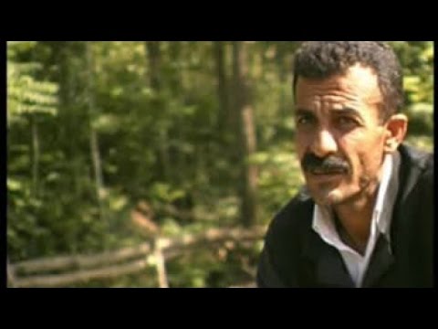 KÜRTÇE GRANİ HALAY GOVEND DELİLO DİLAN DAVET POTPORİ -BİSMİLLİ ZEKO-KÜRTÇE OYUN HAVASI -KÜRTÇE DÜĞÜN