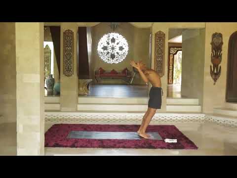 Align and Shine : Invigorating Vinyasa Flow by Andrew Sealy at The Dais Global Yoga Festival