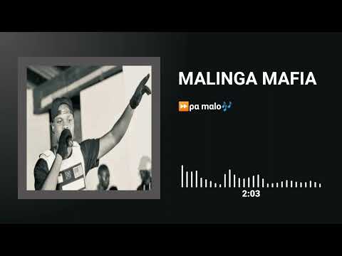 MALINGA MAFIA - PA MALO ( AUDIO) prod. dj sley