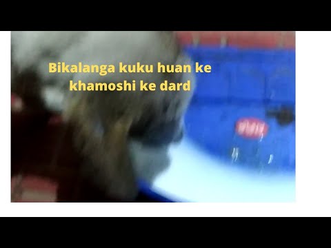 Bikalanga Kuku Chua Ra  khamoshi Ke Dard