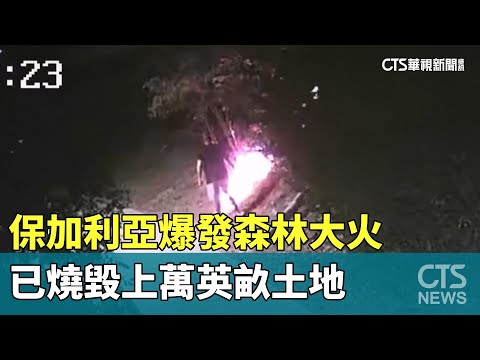 保加利亞爆發森林大火　已燒毀上萬英畝土地