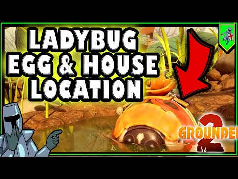 How to Find your Ladybug Egg in Grounded 2 - Lady Bug Nest location