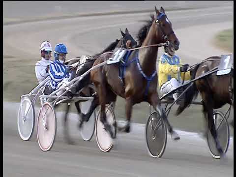 Trotto 08/03/2019 - 4ª corsa